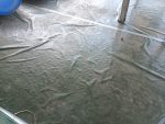 Heavy Duty PVC Coated Canvas - Image 4