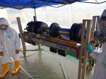 Heavy Duty PVC Coated Canvas - Image 5